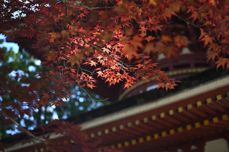 Traditions Around the World