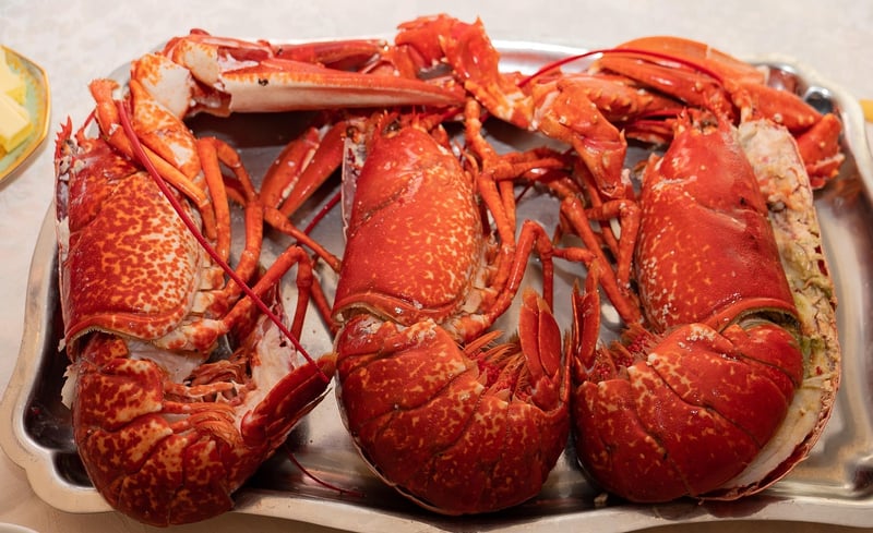 Shrimp